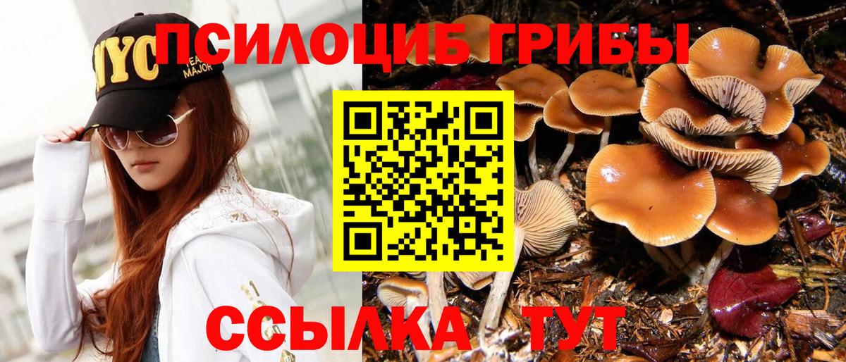 купить наркотик  Вход с VPN  Соль-Илецк  Галлюциногенные грибы мицелий 
