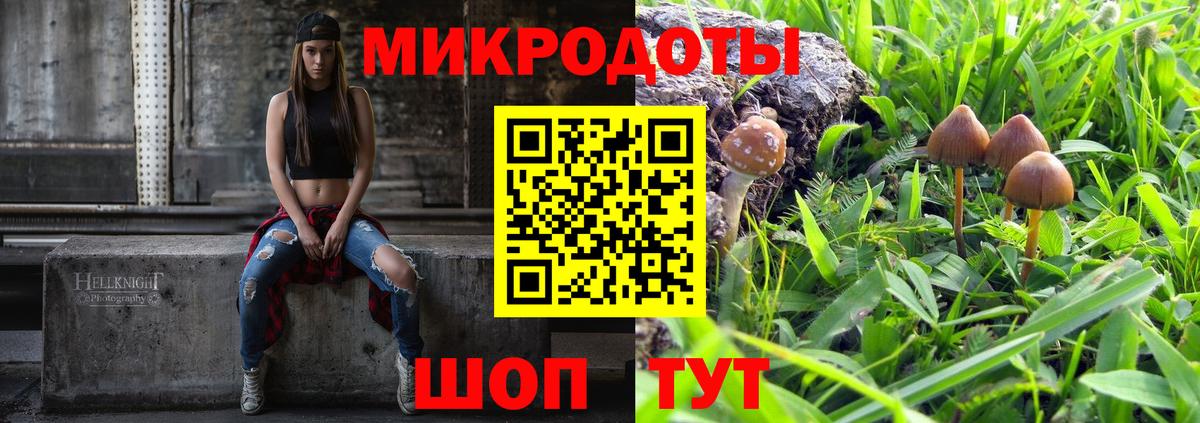 Псилоцибиновые грибы мицелий Соль-Илецк